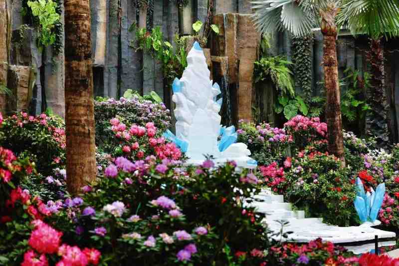 都市忙碌者的周末指南:浦东世博园的高山杜鹃赏析方案 文化旅游