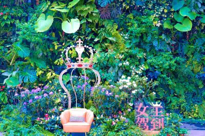 都市忙碌者的周末指南:浦东世博园的高山杜鹃赏析方案 文化旅游