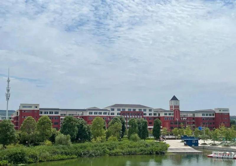  【深度解析】绵阳小枧片区教育版图重构：富乐二小、二中划片调整的底层逻辑与应对策略 教育招生