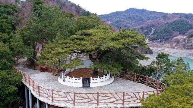  【红色文旅深度解析】夹金山：中央红军长征的精神坐标与文旅价值 文化旅游