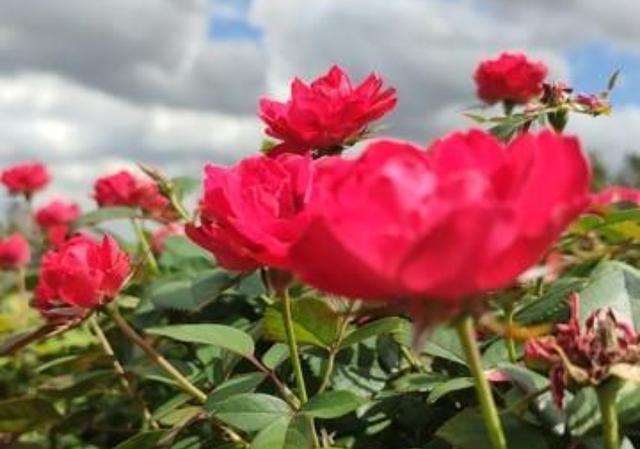  从相亲账单看人际博弈：一顿饭划出的认知边界 情感心理
