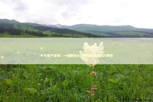 千万用户亲测：一键解锁全球网络的隐藏技巧曝光 新闻