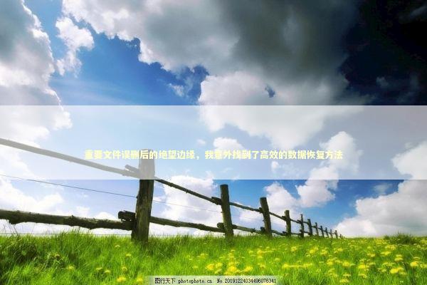 重要文件误删后的绝望边缘，我意外找到了高效的数据恢复方法