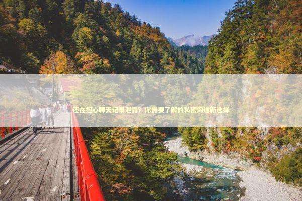 还在担心聊天记录泄露？你需要了解的私密沟通新选择 IT技术