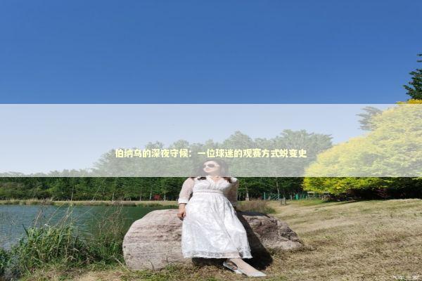 伯纳乌的深夜守候：一位球迷的观赛方式蜕变史 体育新闻