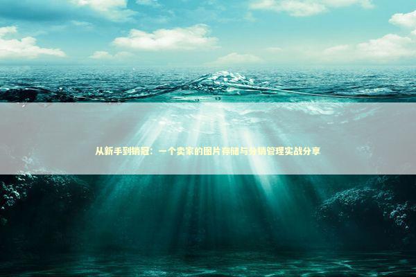 从新手到销冠：一个卖家的图片存储与分销管理实战分享 企业服务